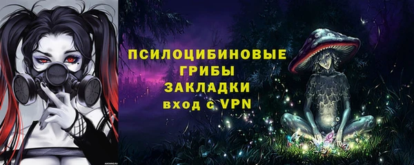 бошки Алзамай