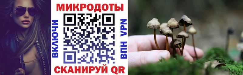 Псилоцибиновые грибы Cubensis  Звенигово 